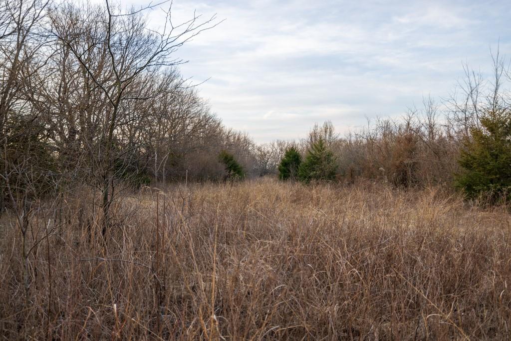 South Little Road Garden City, MO 64747 - Photo 19 of 32