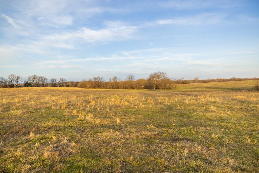 South Little Road Garden City, MO 64747 - Photo 26 of 32
