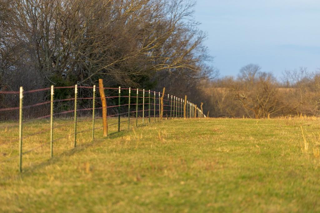 South Little Road Garden City, MO 64747 - Photo 30 of 32