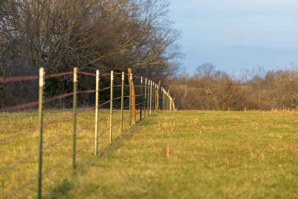 South Little Road Garden City, MO 64747 - Photo 31 of 32