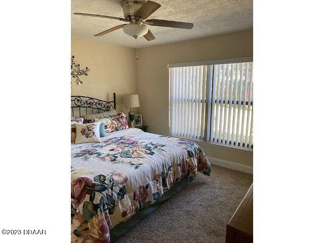 3103 Needle Palm Drive Edgewater, FL 32141 - Photo 16 of 24 16