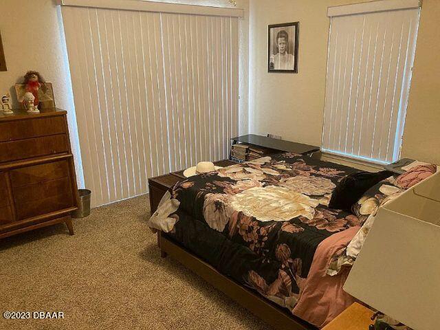 3103 Needle Palm Drive Edgewater, FL 32141 - Photo 17 of 24 17