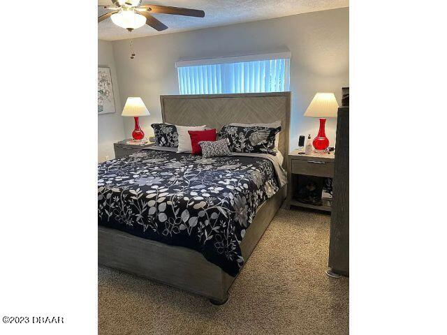 3103 Needle Palm Drive Edgewater, FL 32141 - Photo 21 of 24 21