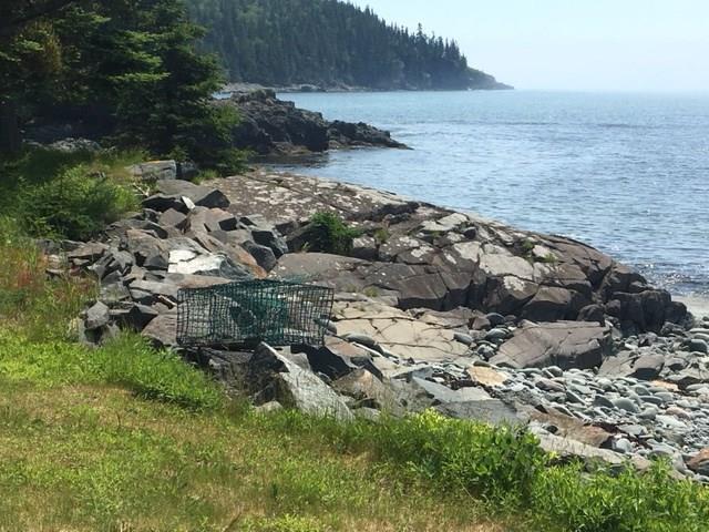 125 Jim's Head Road Lubec, ME 04652 - Photo 11 of 58 Bold Coast of Maine