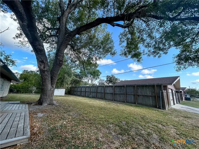 a view of a backyard with a large tree and a small yard