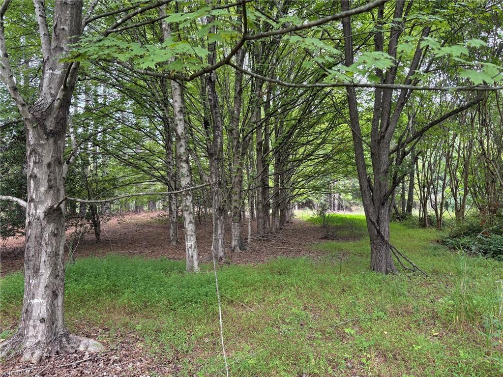207 Cockerham Road Elkin, NC 28621 - Photo 37 of 42 Gallery Image 37