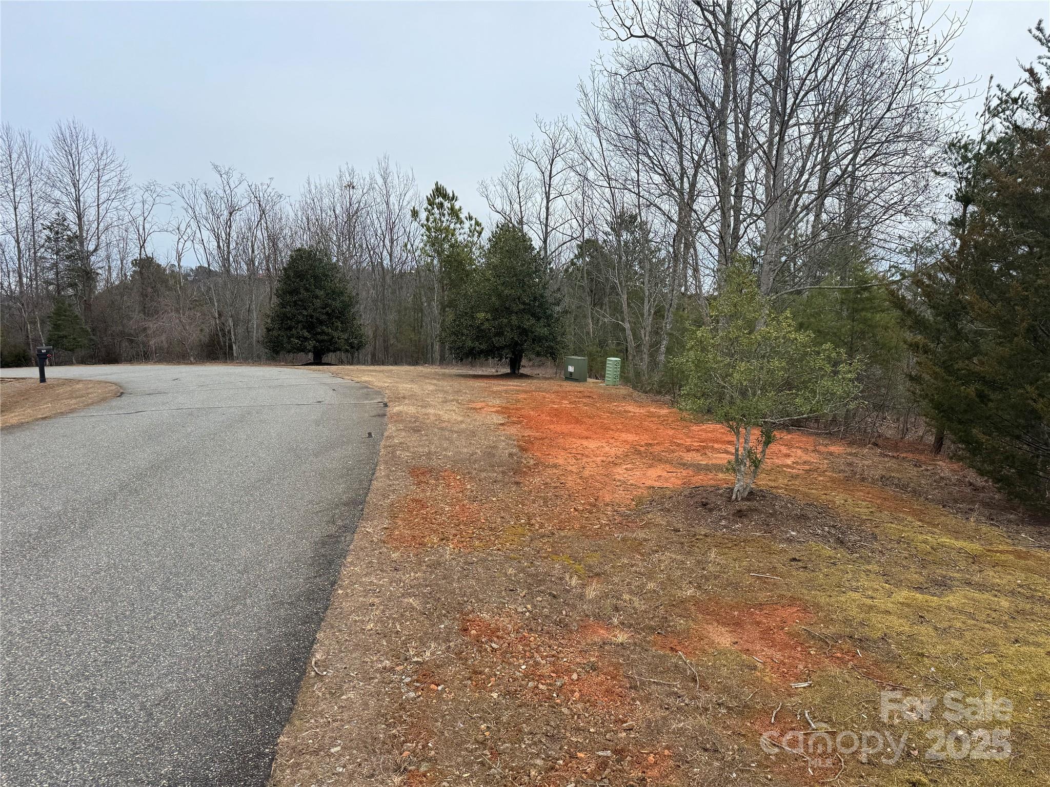 0 Stonecrest Parkway Mill Spring, NC 28756 - Photo 12 of 13