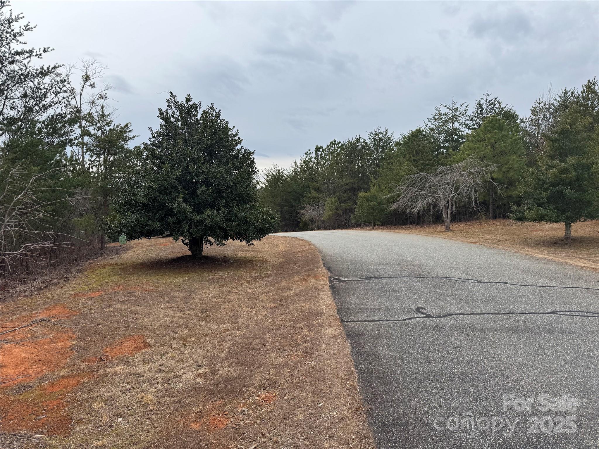 0 Stonecrest Parkway Mill Spring, NC 28756 - Photo 13 of 13