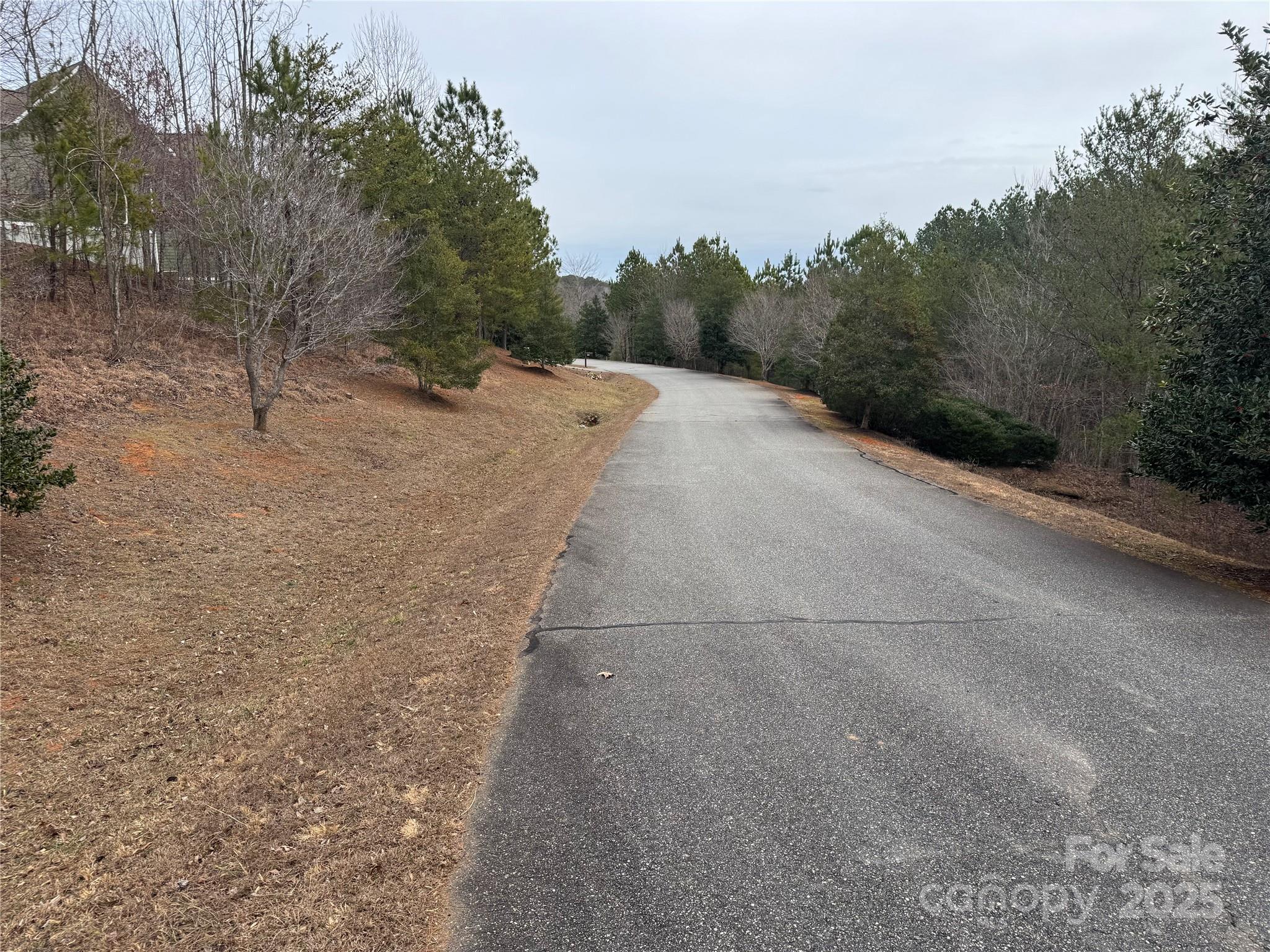 0 Stonecrest Parkway Mill Spring, NC 28756 - Photo 2 of 13