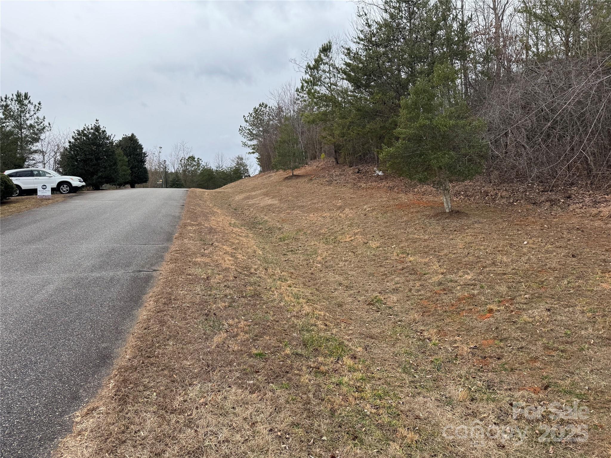 0 Stonecrest Parkway Mill Spring, NC 28756 - Photo 3 of 13