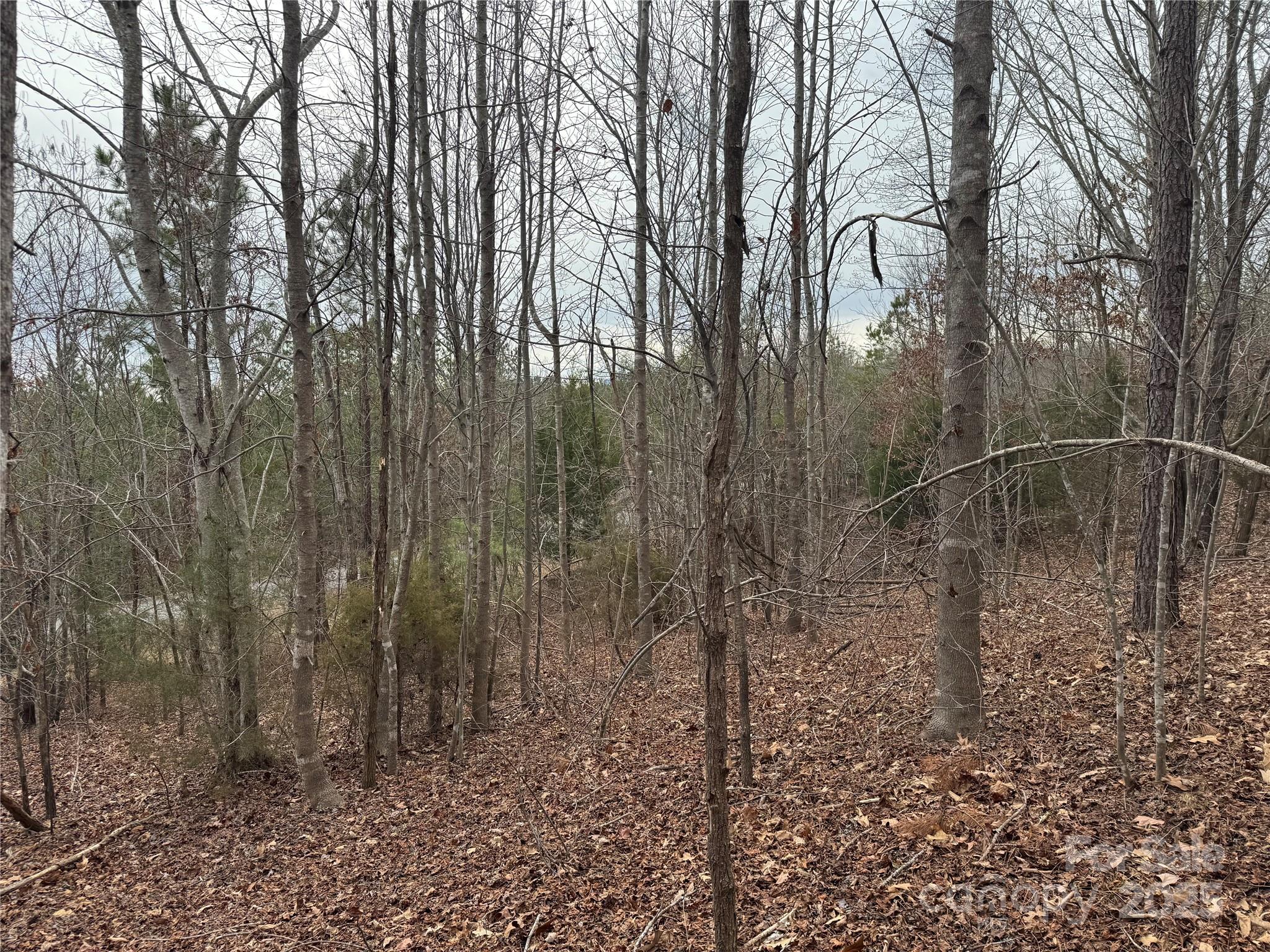 0 Stonecrest Parkway Mill Spring, NC 28756 - Photo 4 of 13