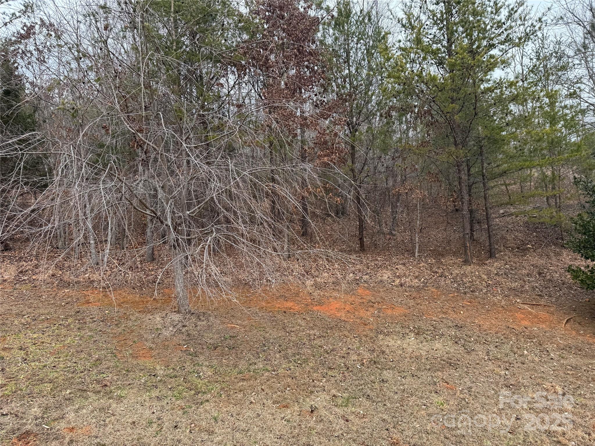 0 Stonecrest Parkway Mill Spring, NC 28756 - Photo 8 of 13