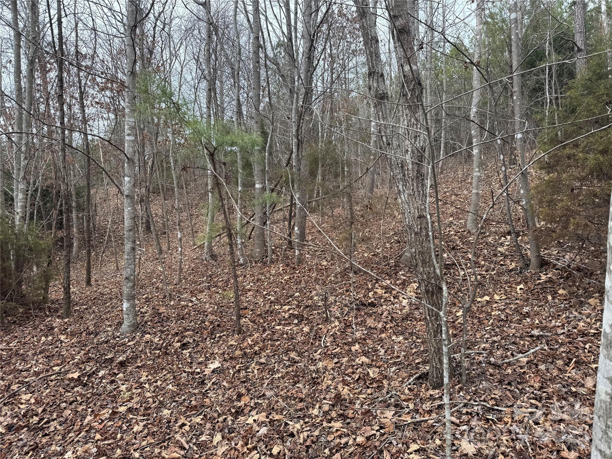 0 Stonecrest Parkway Mill Spring, NC 28756 - Photo 9 of 13