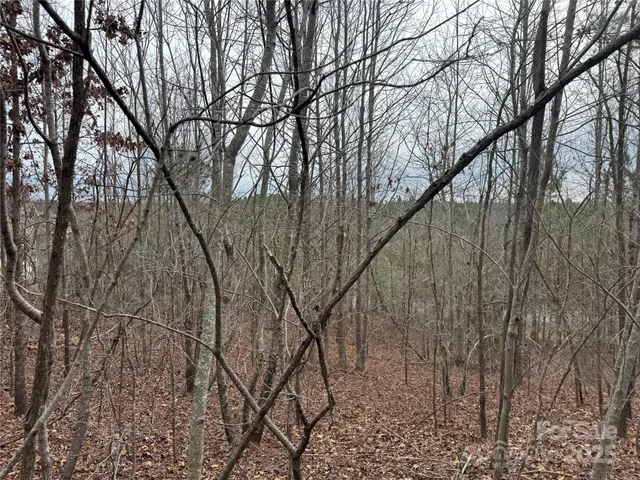 $50,000 | 0 Stonecrest Parkway, Mill Spring, NC 28756