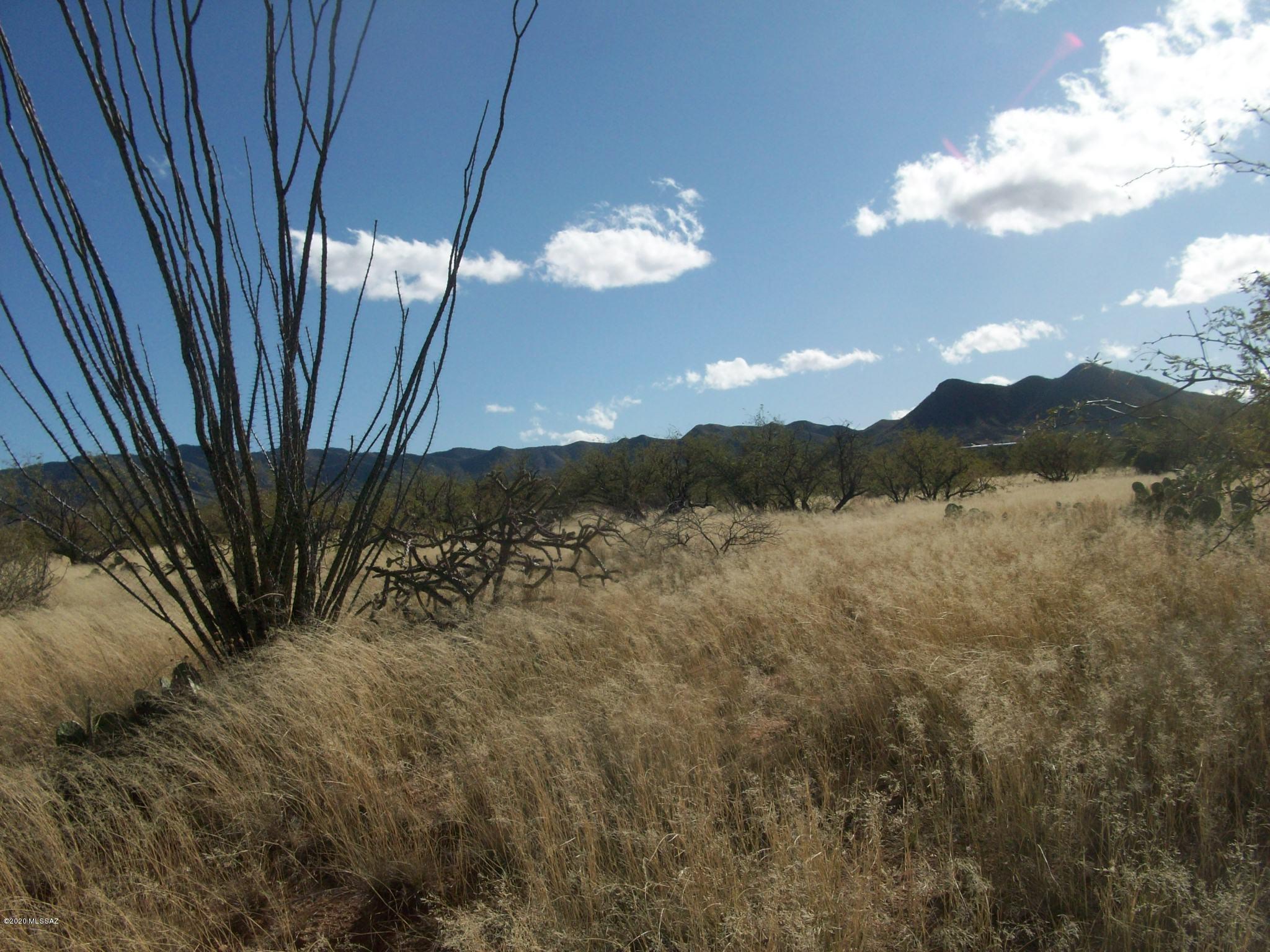 18005 South O J Ranch Road Tucson, AZ 85736 - Photo 3 of 3