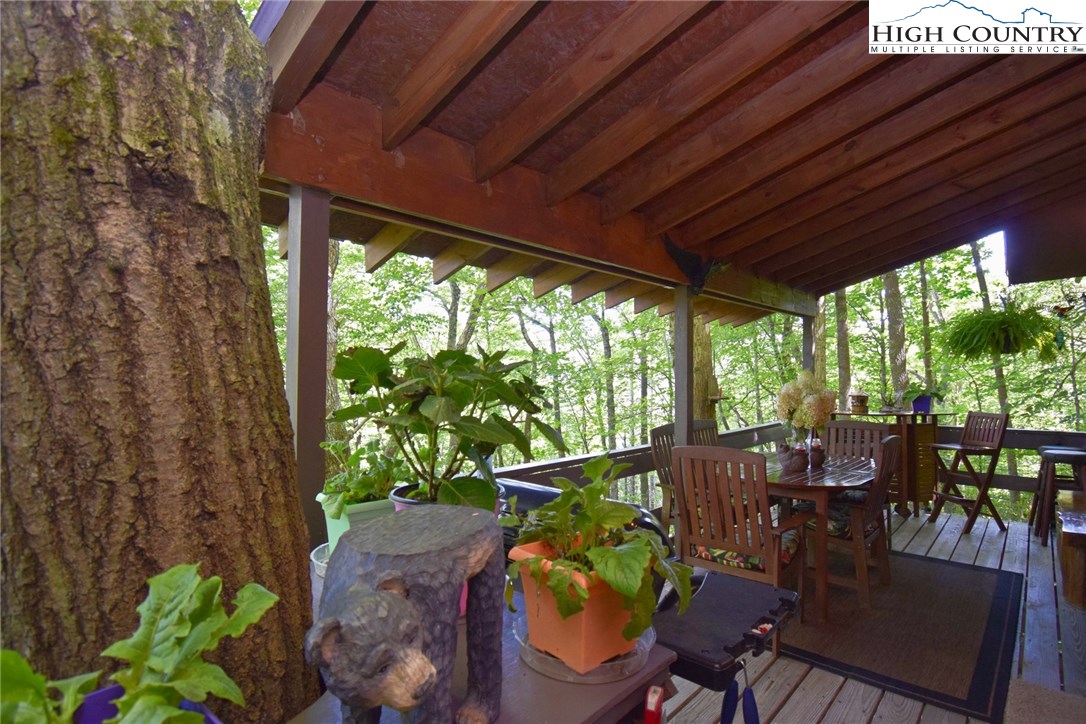 193 Greenbriar Road Banner Elk, NC 28604 - Photo 16 of 34 Gallery Image 16