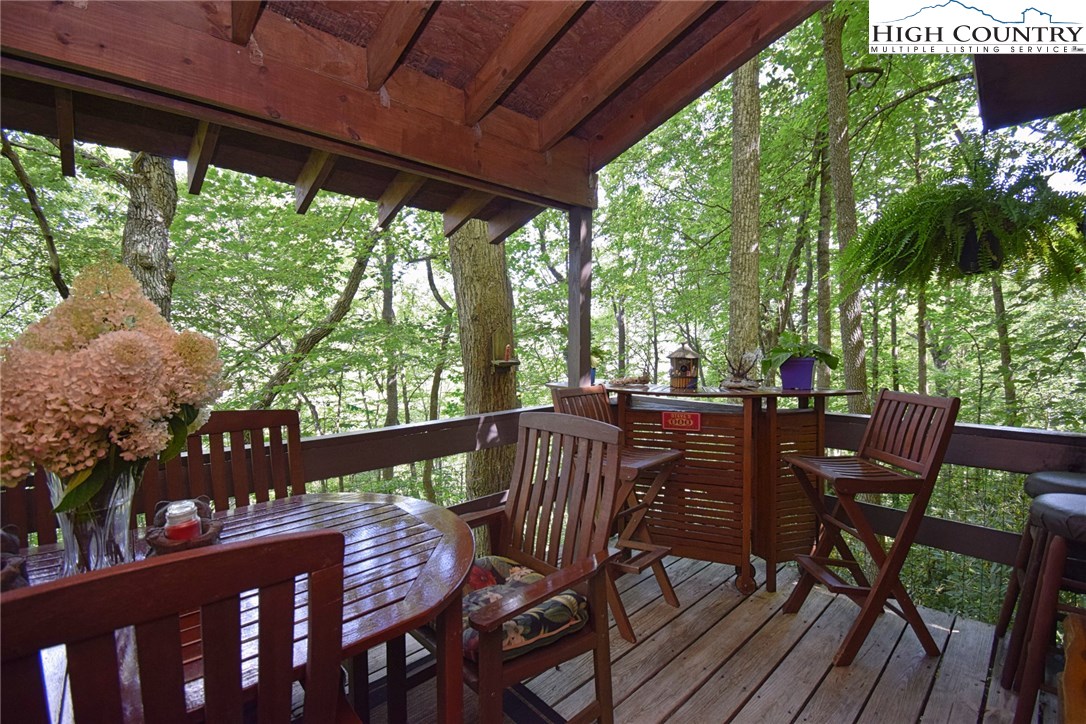 193 Greenbriar Road Banner Elk, NC 28604 - Photo 17 of 34 Gallery Image 17
