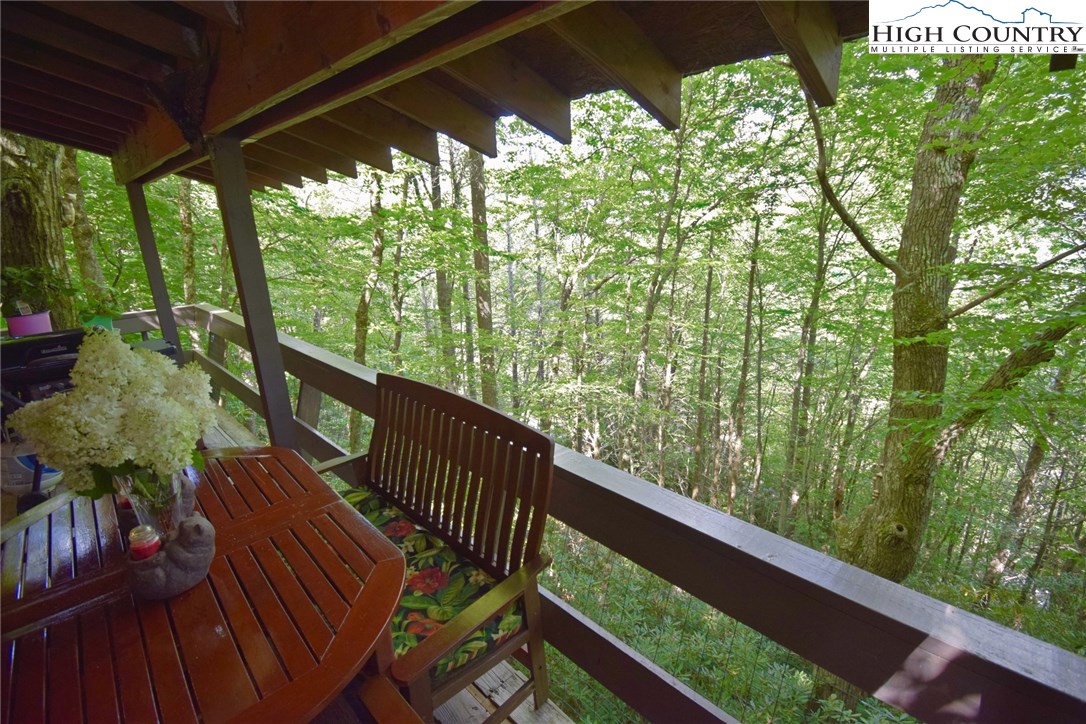 193 Greenbriar Road Banner Elk, NC 28604 - Photo 18 of 34 Gallery Image 18