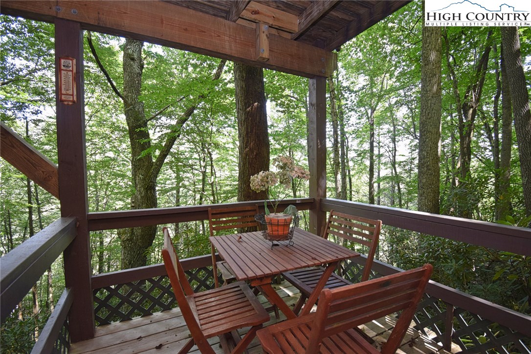 193 Greenbriar Road Banner Elk, NC 28604 - Photo 24 of 34 Gallery Image 24