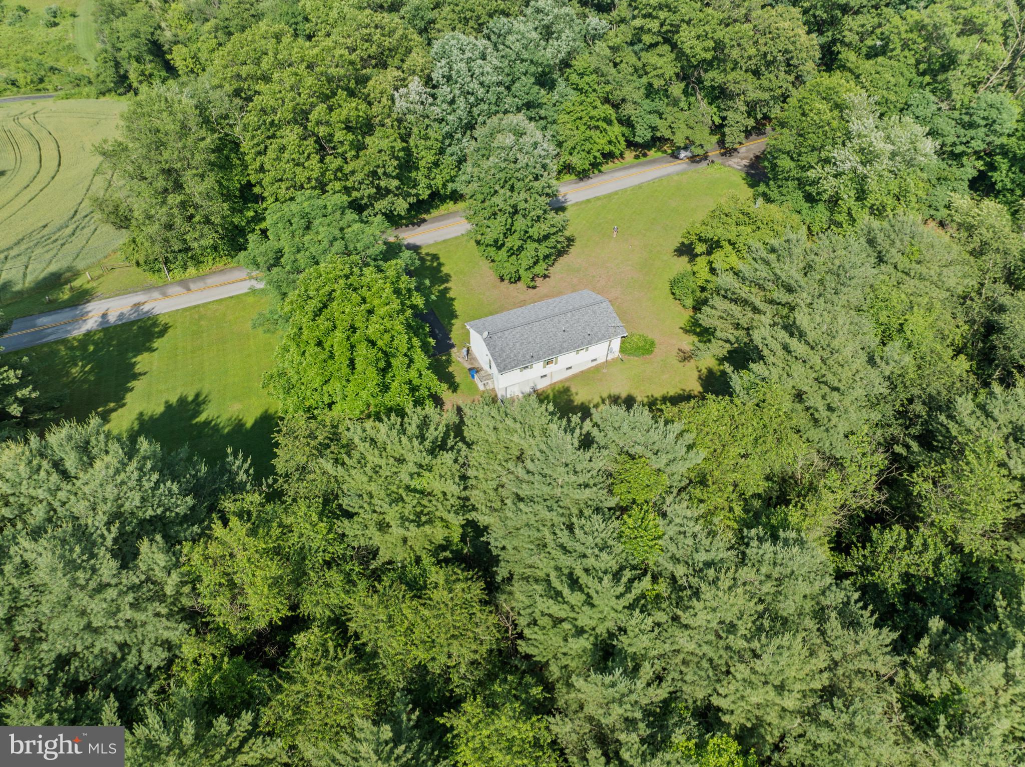 21008 West Liberty Road White Hall, MD 21161 - Photo 10 of 16 4-acre lot is filled with lush trees