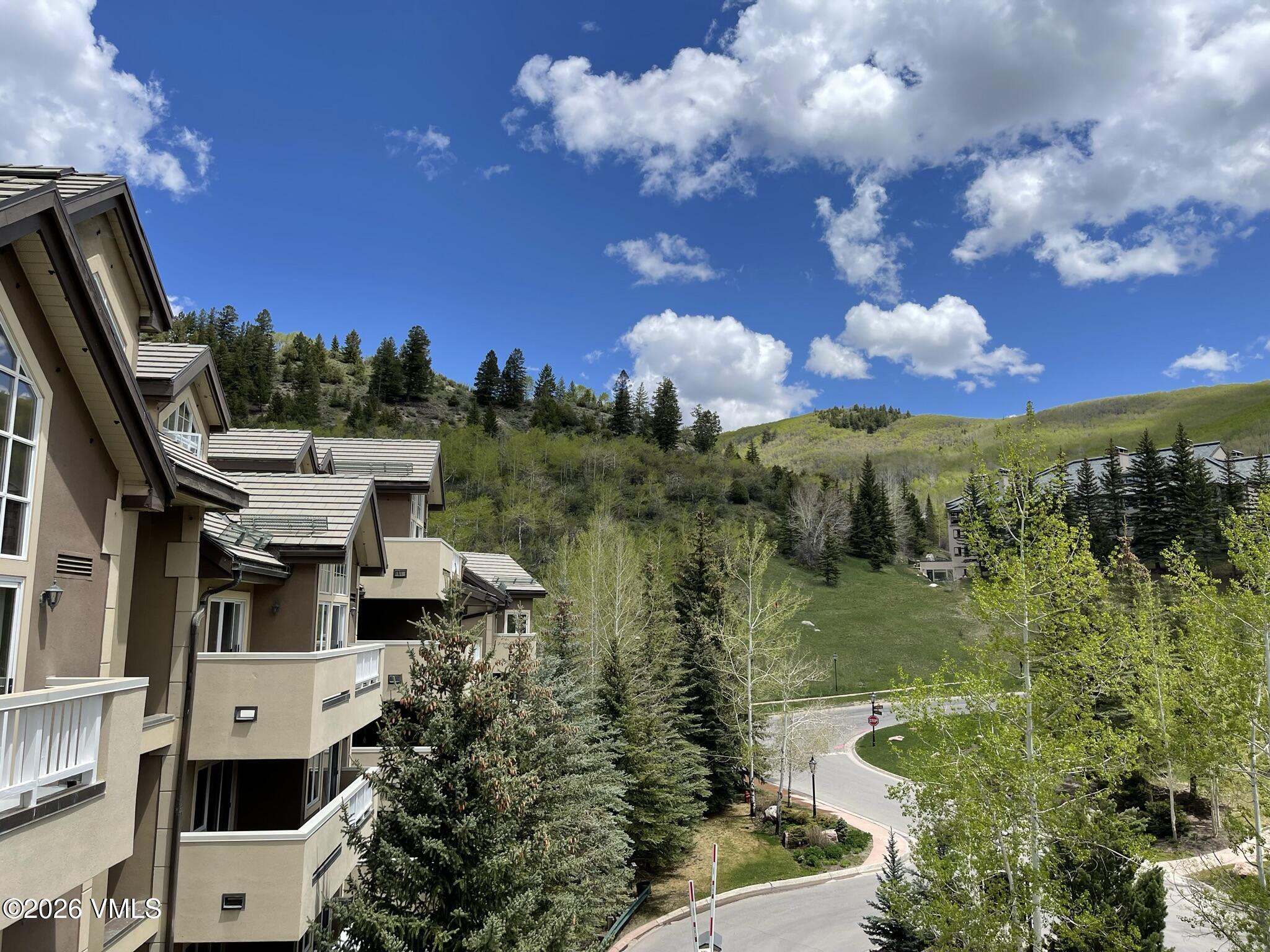 210 Offerson Road, Unit R421 WEEK 3 Beaver Creek, CO 81620 - Photo 22 of 24 a view of a garden