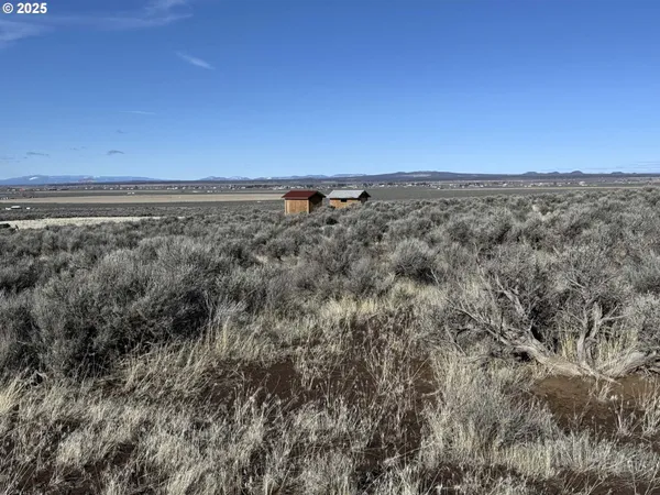 a view of a city with lush green forest