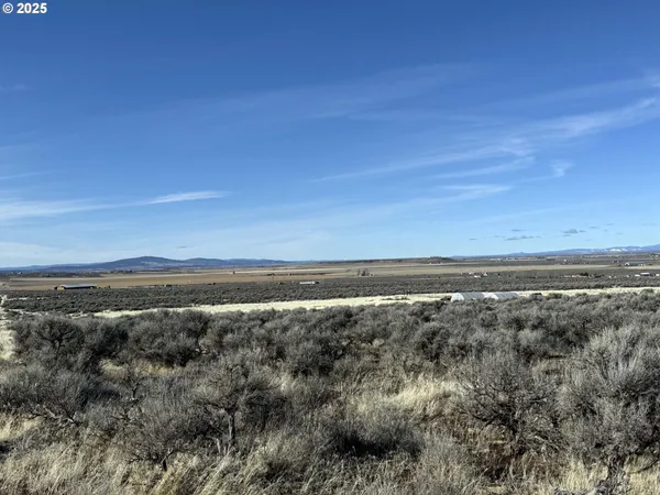 a view of city and mountain