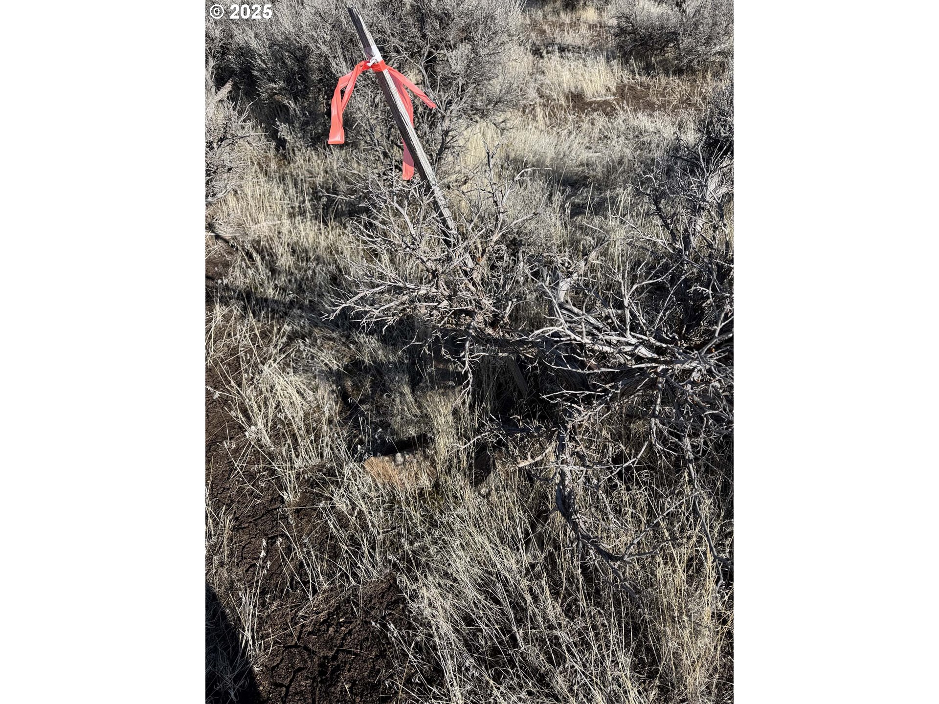 Fermac Road, Unit L2000 Christmas Valley, OR 97641 - Photo 25 of 36