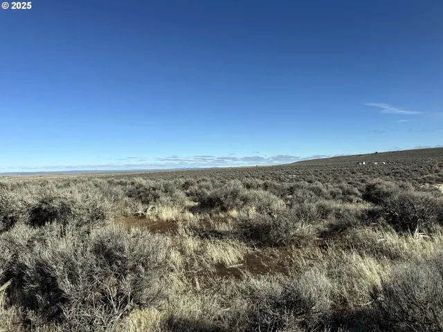 view of an outdoor space and a yard