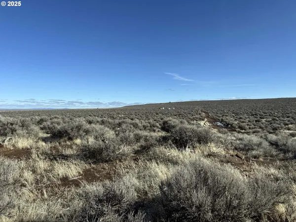 view of an outdoor space and a yard