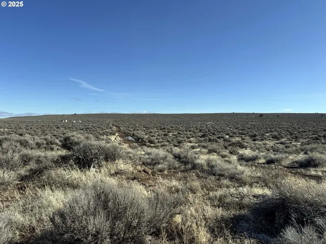 $18,000 | Fermac Road, Unit L2000, Christmas Valley, OR 97641