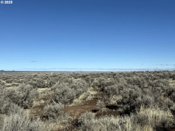 a view of city and mountain