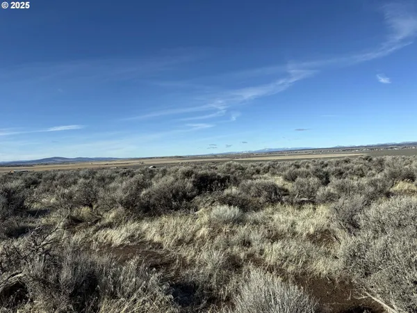 $18,000 | Fermac Road, Unit L2000, Christmas Valley, OR 97641