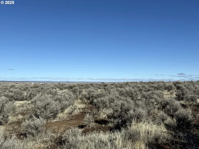 a view of a dry grass field