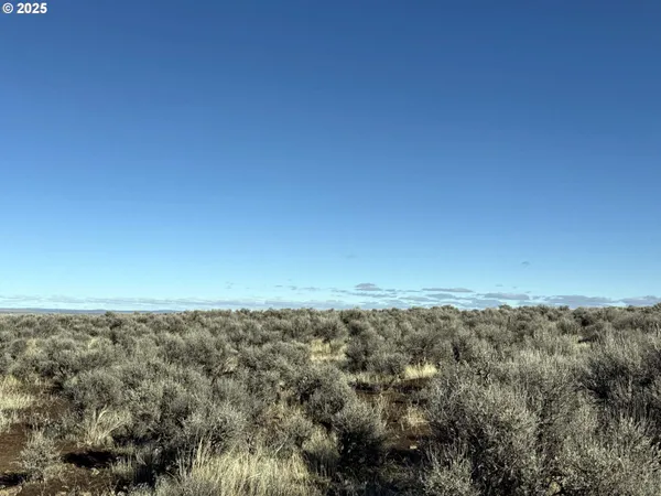 a view of a dry grass field
