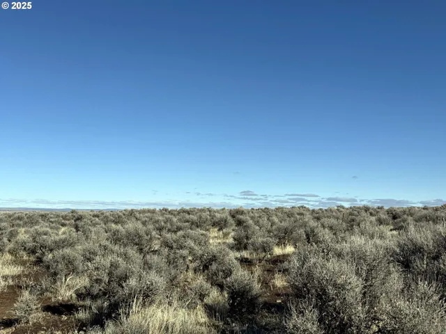 a view of a dry yard with wooden floor and fence