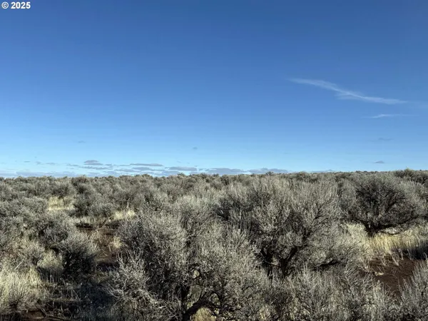 a view of a dry yard with wooden floor and fence