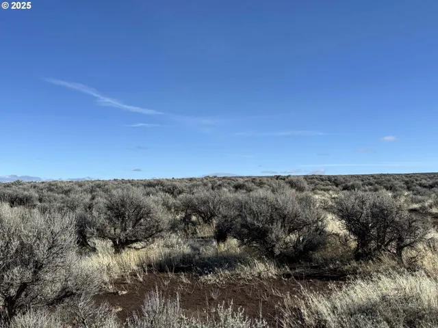 a view of an ocean beach