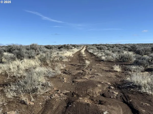 a view of a dry yard with wooden floor and fence