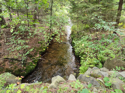Shrader Creek Road Shunk, PA 17768 - Photo 10 of 18 Gallery Image 10