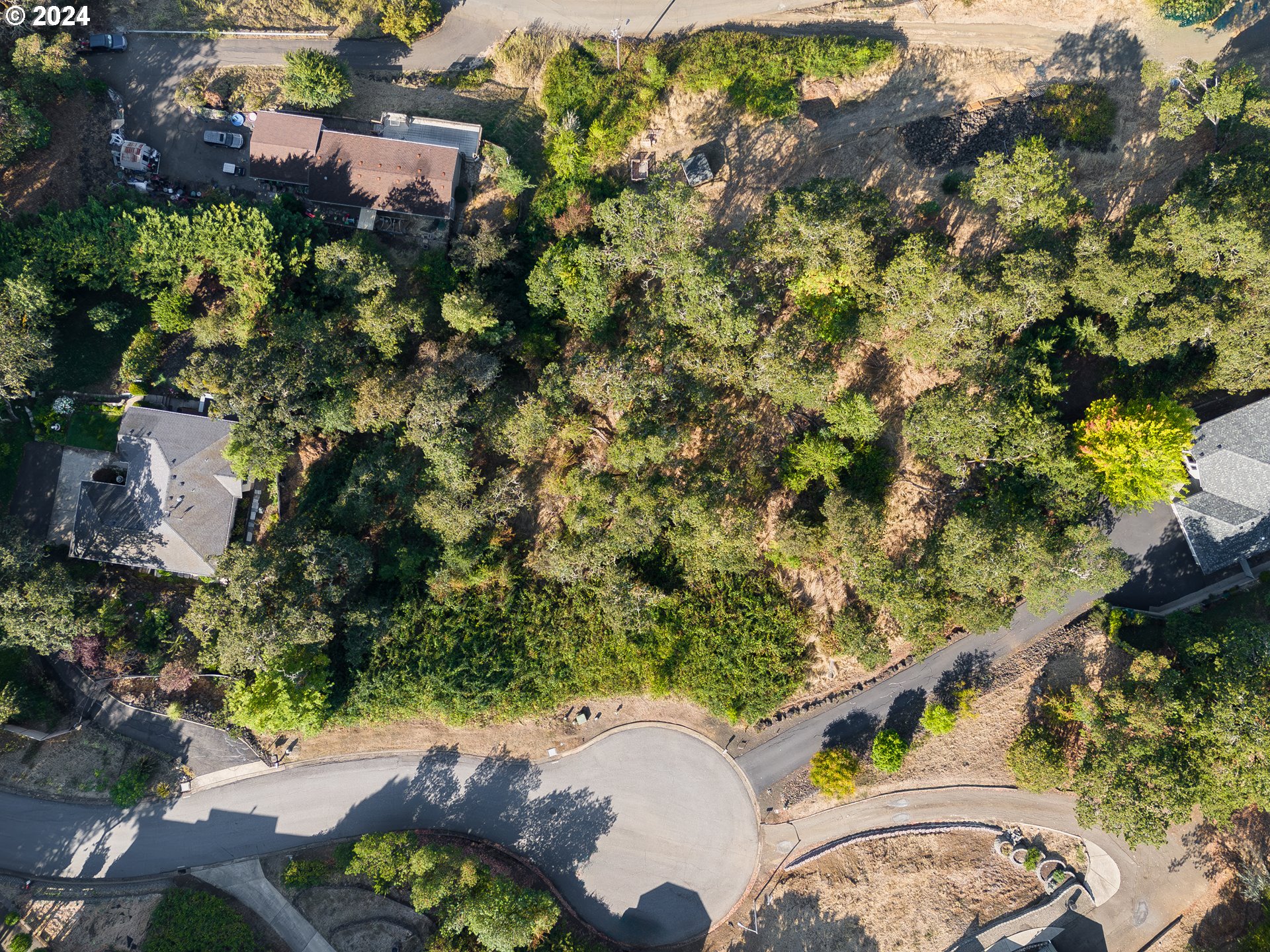 1393 Southeast Laurel Court Roseburg, OR 97470 - Photo 3 of 14