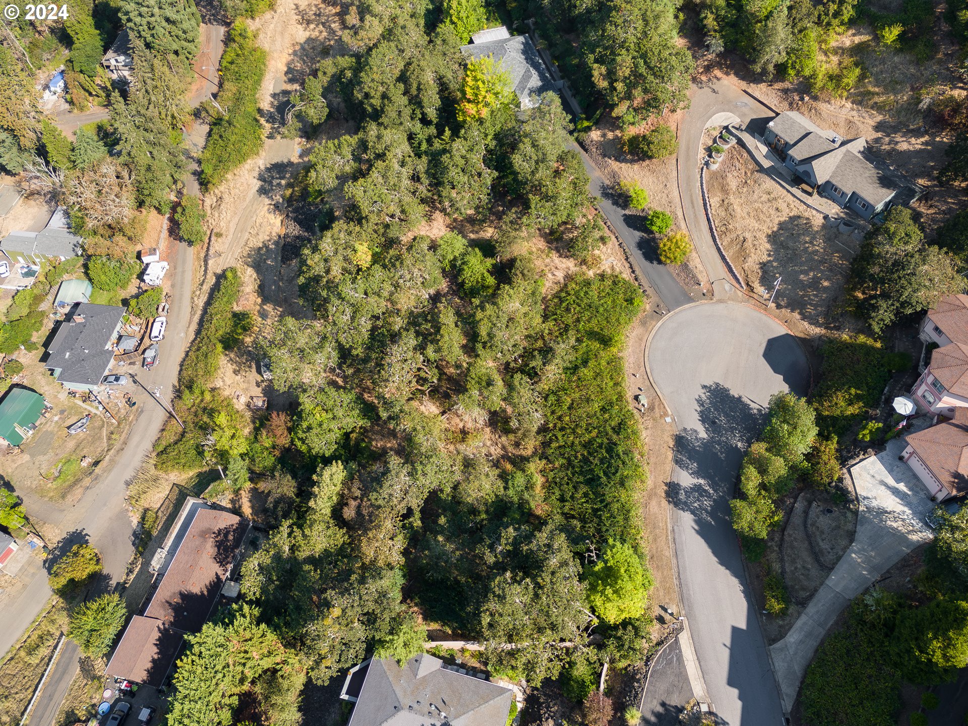 1393 Southeast Laurel Court Roseburg, OR 97470 - Photo 5 of 14