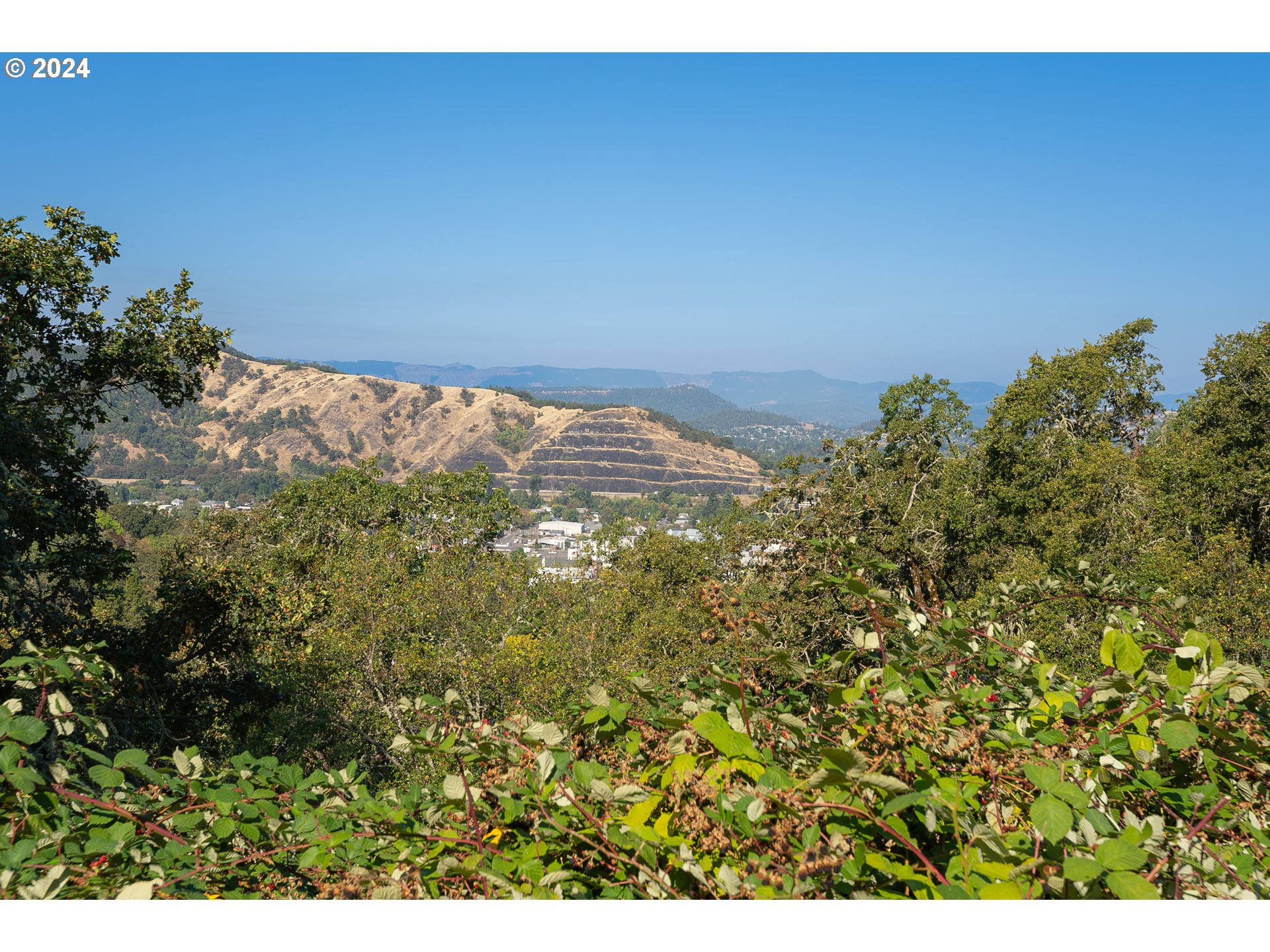 1393 Southeast Laurel Court Roseburg, OR 97470 - Photo 10 of 14