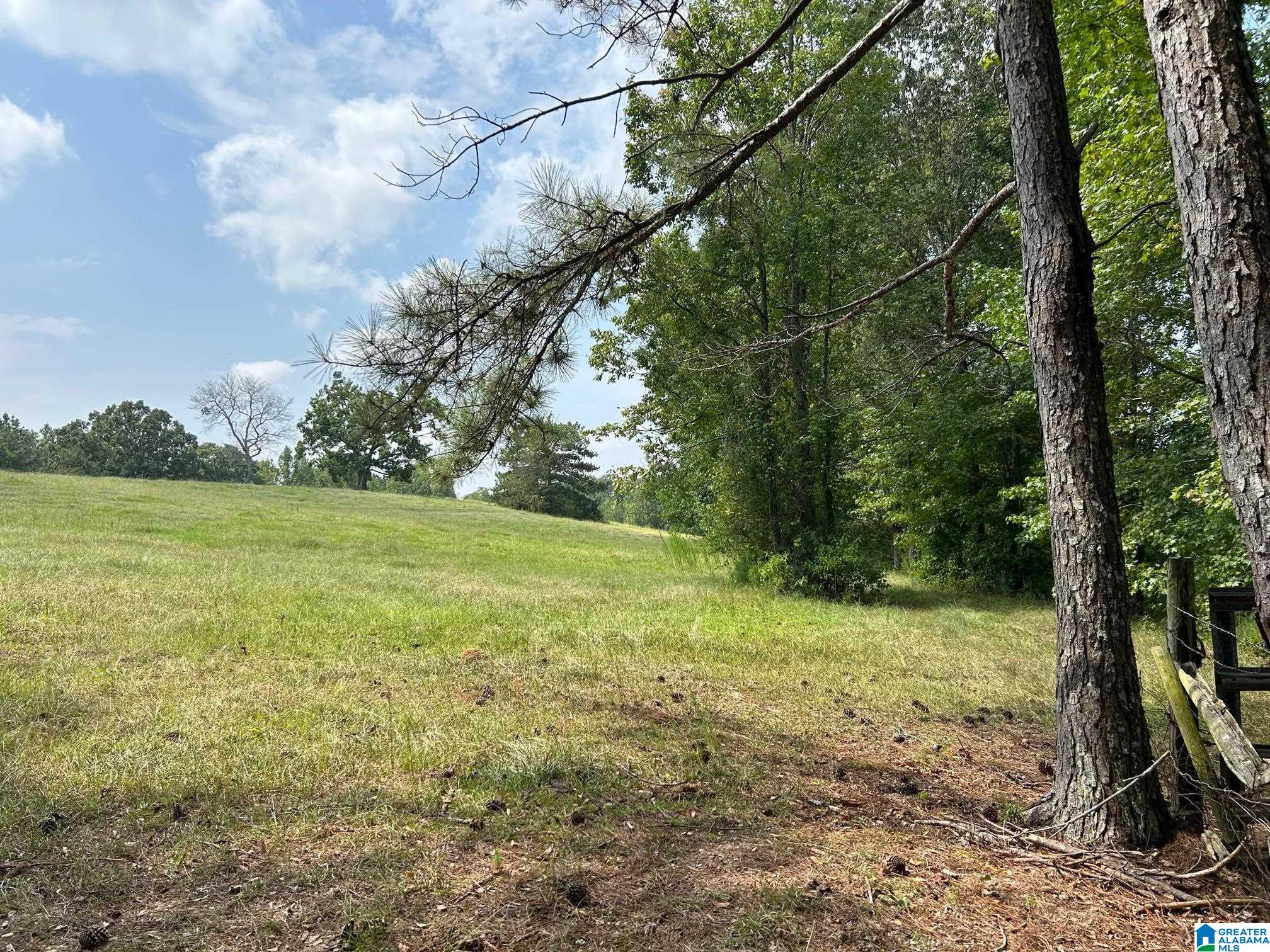 3300 Floyd Road Wellington, AL 36279 - Photo 10 of 11