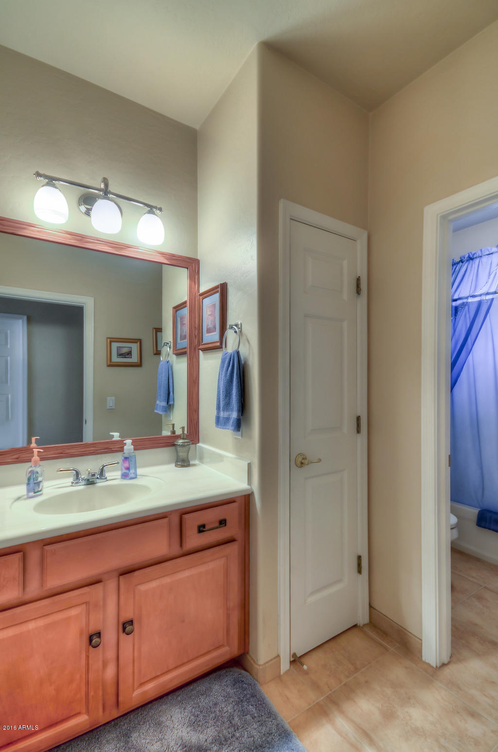 3683 East Del Rio Street Gilbert, AZ 85295 - Photo 20 of 96 Reshoot (9)-SMALL