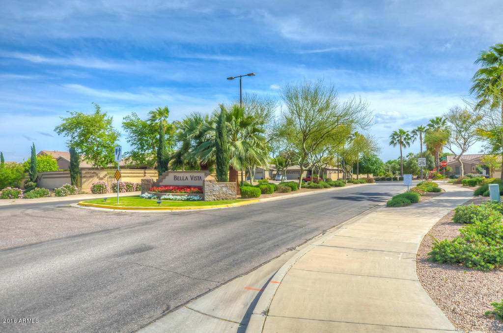 3683 East Del Rio Street Gilbert, AZ 85295 - Photo 52 of 96 Community