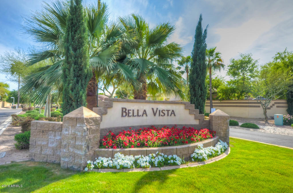 3683 East Del Rio Street Gilbert, AZ 85295 - Photo 53 of 96 Community