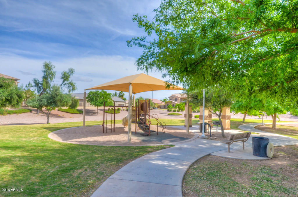 3683 East Del Rio Street Gilbert, AZ 85295 - Photo 54 of 96 Community