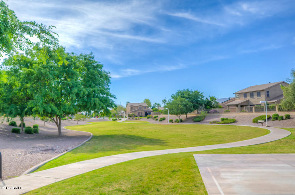 3683 East Del Rio Street Gilbert, AZ 85295 - Photo 57 of 96 Community