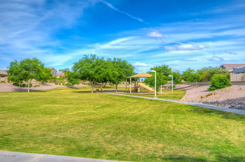 3683 East Del Rio Street Gilbert, AZ 85295 - Photo 58 of 96 Community